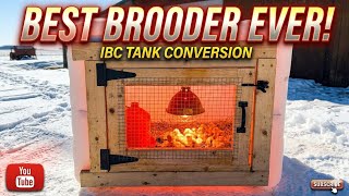 Best Cheap Brooder Setup for Ducks and Chickens DIY 