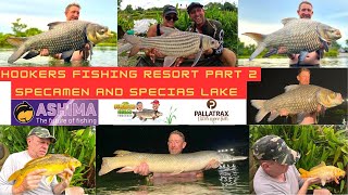 Fishing in Thailand - The Overrated Anglers - Hookers lake, Pattaya. Specimen & species lake part 2.
