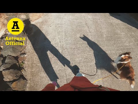 루시드폴 Lucid Fall - ‘뚜벅뚜벅 탐험대’ MV 🐕🚶🏽