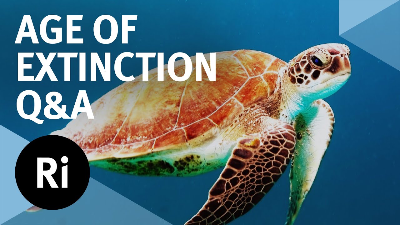 How Climate Change Causes Biodiversity Loss and What We Can Do About It -  YouTube