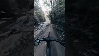 biking through the riverside #shorts  #biker