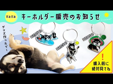 【廃盤・超希少】キーホルダー みみすま hqdefault.jpg