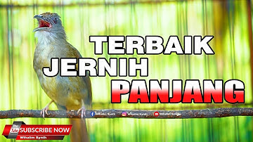 #1🔴 KAPAS TEMBAK GACOR JERNIH PANJANG MANTAP UNTUK MASTERAN SEGALA JENIS BURUNG JERNIH CEPAT MASUK