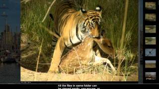 Nexus Image : Full featured Image Viewer with minimal UI screenshot 5