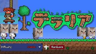 Terraria hardcore summoner [LIVE]