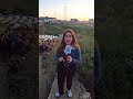 النهار تعاين مكان الغارة على الدكوانة