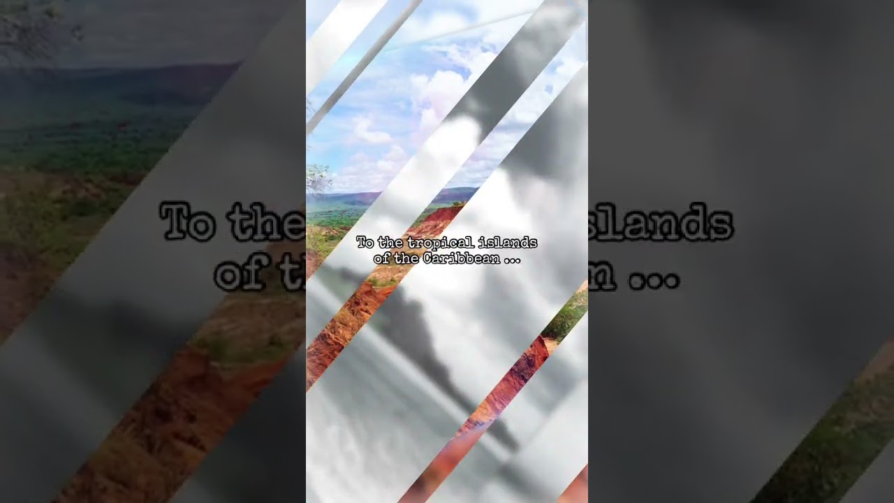 'Buccaneer: The Early Life and Crimes of Philip Rake'