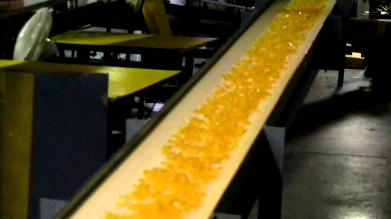 Palmetto Adhesives Company YouTube