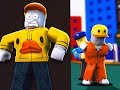 Pair Of Ducks Roblox