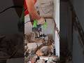 Electric Demolition Drill Tool for Breaking Concrete and Brick Structures #shorts