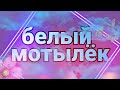 🖤СПСЗ🖤 КЛИП🖤БЕЛЫЙ🖤МОТЫЛЁК🖤