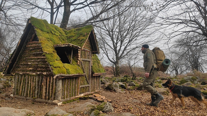 Survie en milieu sauvage : construire une cabane en rondins avec des compétences de Bushcraft