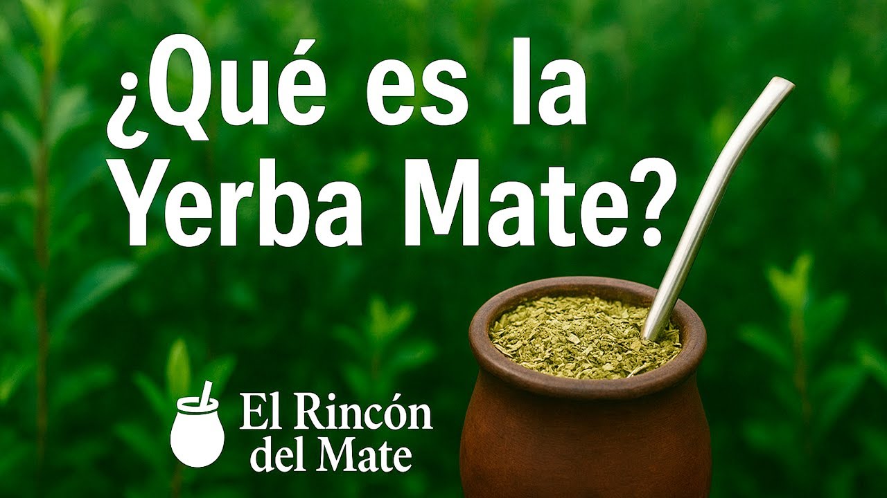 ¿Qué es la Yerba Mate? | Historia, beneficios y tradición 🧉🍃