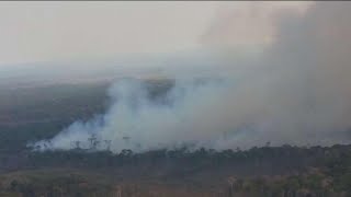 Raging Amazon Rainforest Fires Draw Global Outrage