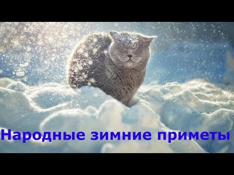 Народные зимние приметы как предсказать погоду