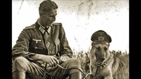 In Camera-Coordinates