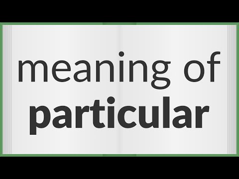 Particular | meaning of Particular