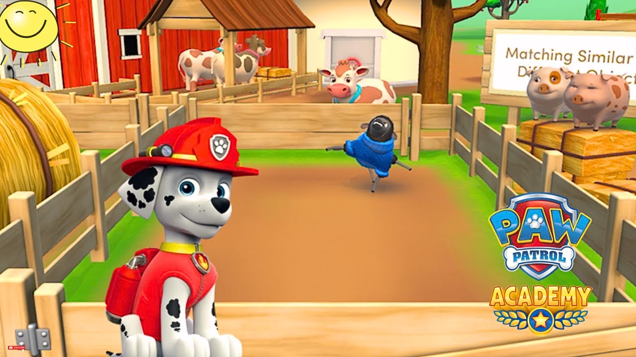 PAW Patrol Academy Master Numbers & Colors with Marshall PAW Patrol