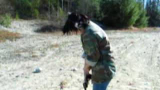MVI_2336.AVI