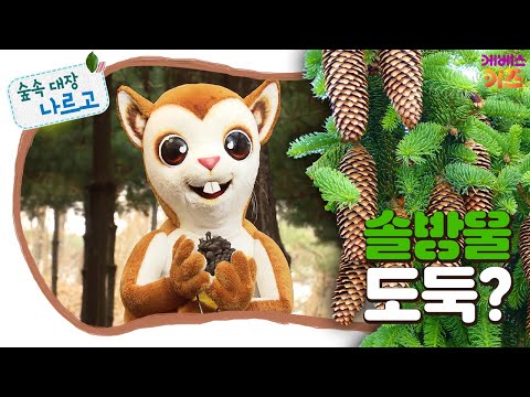 #집에서함께해요ㅣ솔방울을 누가 가져갔을까?ㅣ숲과 친구되기ㅣ숲속 대장 나르고ㅣKBS 방송