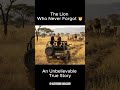 The Lion Who Never Forgot 🦁 | An Unbelievable True Story | Rooted Roads. 🌍