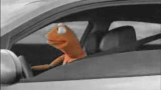 CHILLO und Kermit - better chillout than burnout