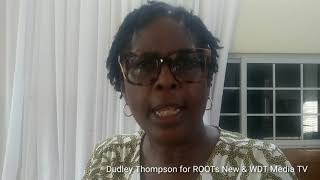 Wdt Media Tv Meeting With Dr Angella Brown Burke, Nht & White Wing Business Owners