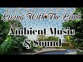 Living with the land epcot audio music loop ambience