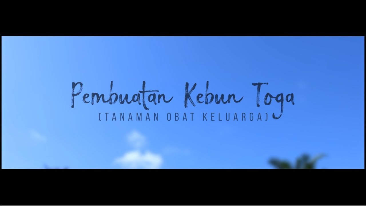 Pembuatan Kebun Toga (Tanaman Obat Keluarga) 