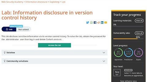 Web Security Academy | Information Disclosure | 5 - Information Disclosure In Version Control Histor
