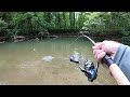 TROUT Fishing with Spinners (Brown, Brook, Rainbow)