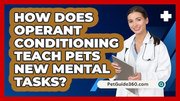 How Does Operant Conditioning Teach Pets New Mental Tasks? - PetGuide360.com