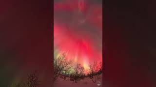 Super intense red aurora in Malangen, Norway 🤯🤯