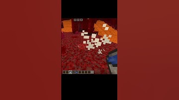 Minecraft logic (part 19) #subscribe #shytgamer #shorts #minecraft #logic #viral #trending