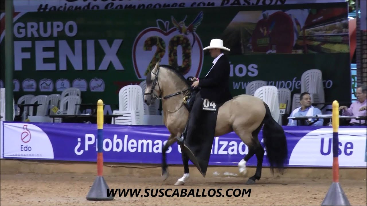 GRAN CAMPEONATO CABALLOS TROTE Y GALOPE COLOMBIANO COPA AMERICA 2015