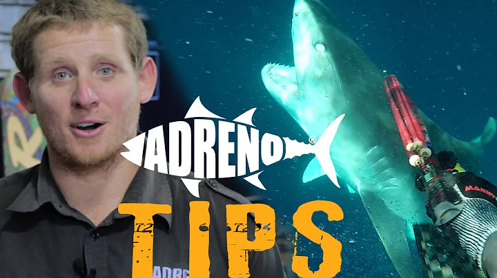Spearfishing with Sharks (Tigers, White Pointers, Bullsharks)  | ADRENO