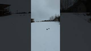 Nathan and Colin Sledding - 1/17/22 - Part 1
