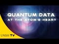 Quantum Computing with Single Atom Nucleus