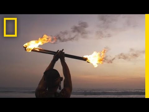 Video: Hva slags planter lever i nærheten av vulkaner?