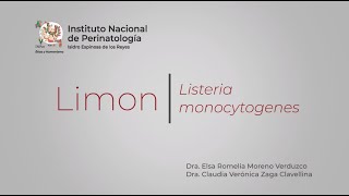 Manejo De Modelo Transwell