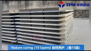 Tpm High-Level Tpm10000G Concrete Block Machine