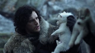 'Game of Thrones' Stars Warn Fans About Bringing Huskies Into Their Homes screenshot 4