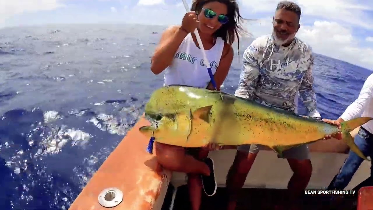 COLOSSAL CATCHES