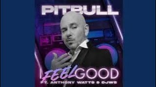 ROCKOTHETACO | Pitbull - I Feel Good (ft. Anthony Watts & DJWS)