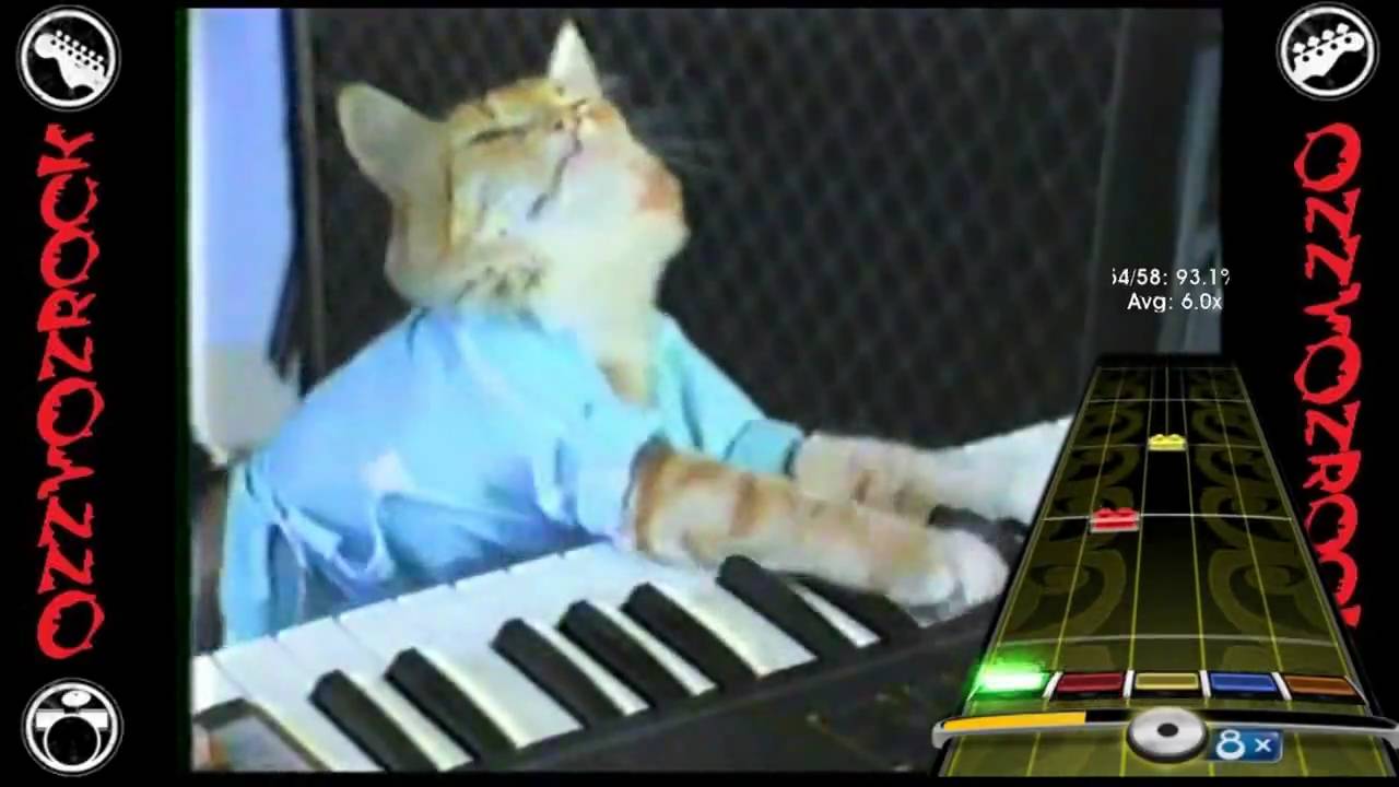 Fatso the Keyboard Cat Plays Frets on Fire! YouTube