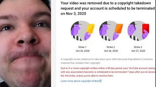 Nikocado Avocado Was Right To Copyright Strike Tea Sesh