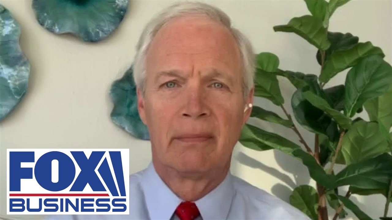 Sen. Johnson pushes back on Biden being a moderate: 'His agenda is radical'