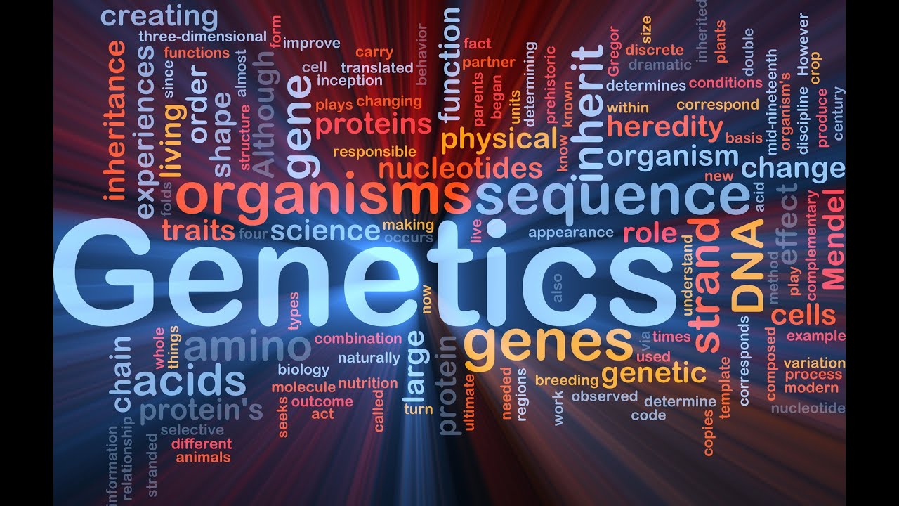 Genetic Algorithms in Visual Basic - Genetic Draw Abstracts - YouTube