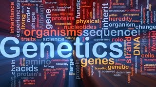 Genetic Algorithms in Visual Basic - Genetic Draw Abstracts