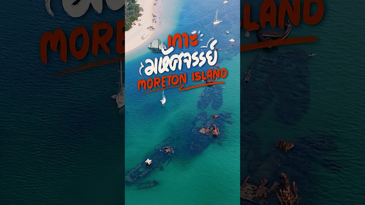 เกาะมหัศจรรย์ Moreton Island แห่งบริสเบน | อาสาพาไปหลง